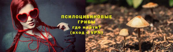 герыч Протвино