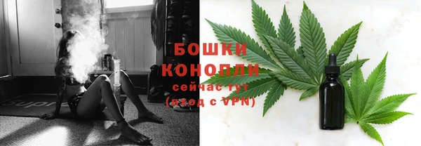 гашик Покровск