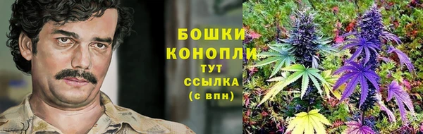 дживик Приозерск