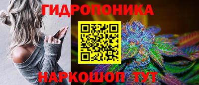 прущие грибы Абакан