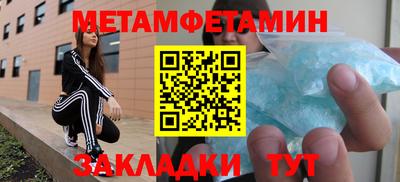 прущие грибы Абакан