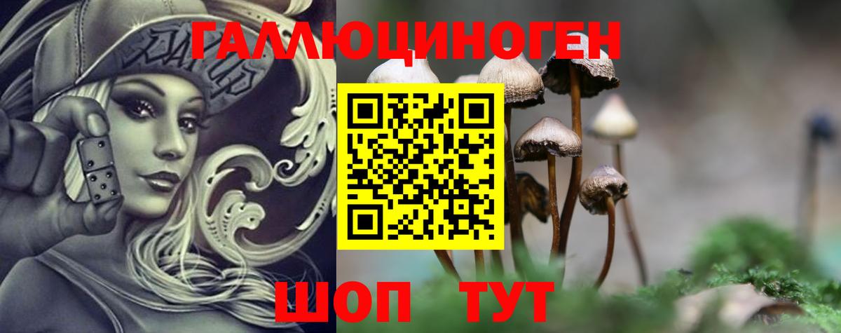 Галлюциногенные грибы прущие грибы Апшеронск